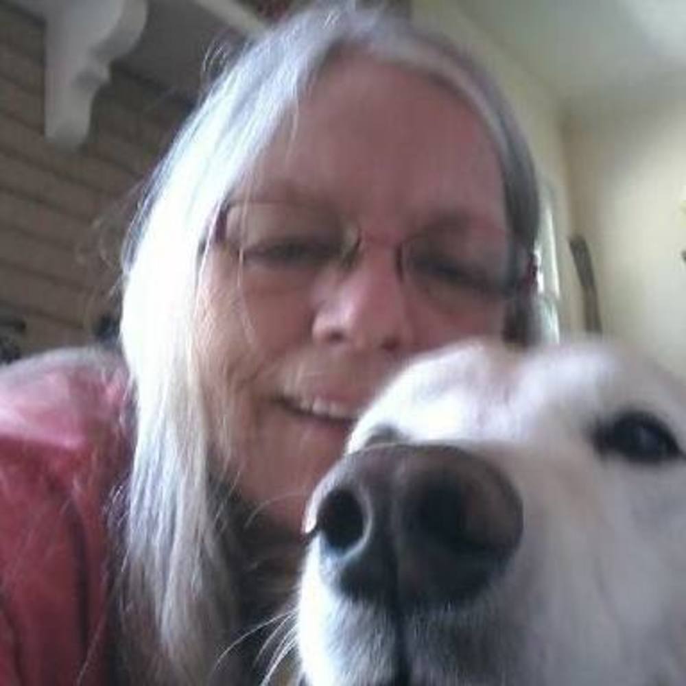 Meet your Posher, Sandi